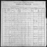 1900 United States Federal Census