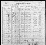 1900 United States Federal Census