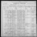 1900 United States Federal Census