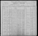 1900 United States Federal Census