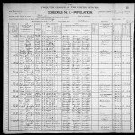 1900 United States Federal Census