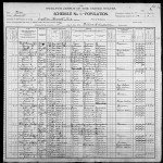 1900 United States Federal Census