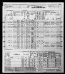 1950 United States Federal Census