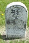 Perly G Whitted