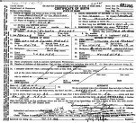 Idaho, Birth Index, 1861-1916, Stillbirth Index, 1905-1966