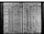 Minnesota, Territorial and State Censuses, 1849-1905